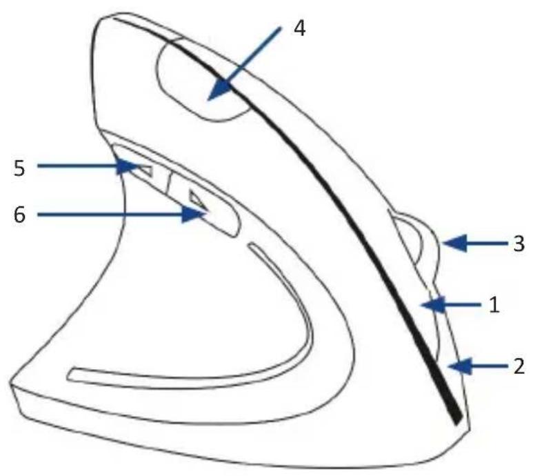 CSL 302646 - Product details - 1