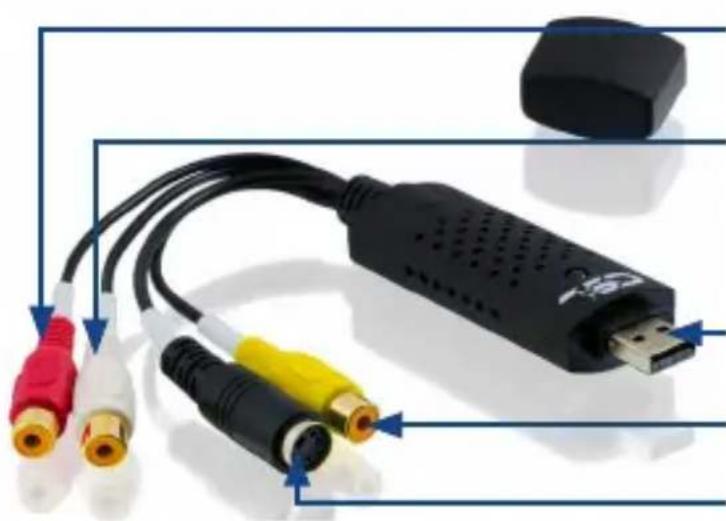 CSL 300910 - Product details - 1