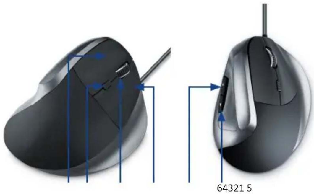 CSL 301209 - Produktdetails - 1