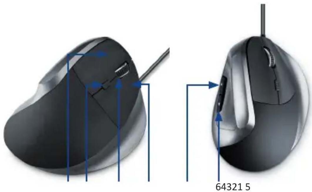 CSL 301209 - Detalles del producto - 1