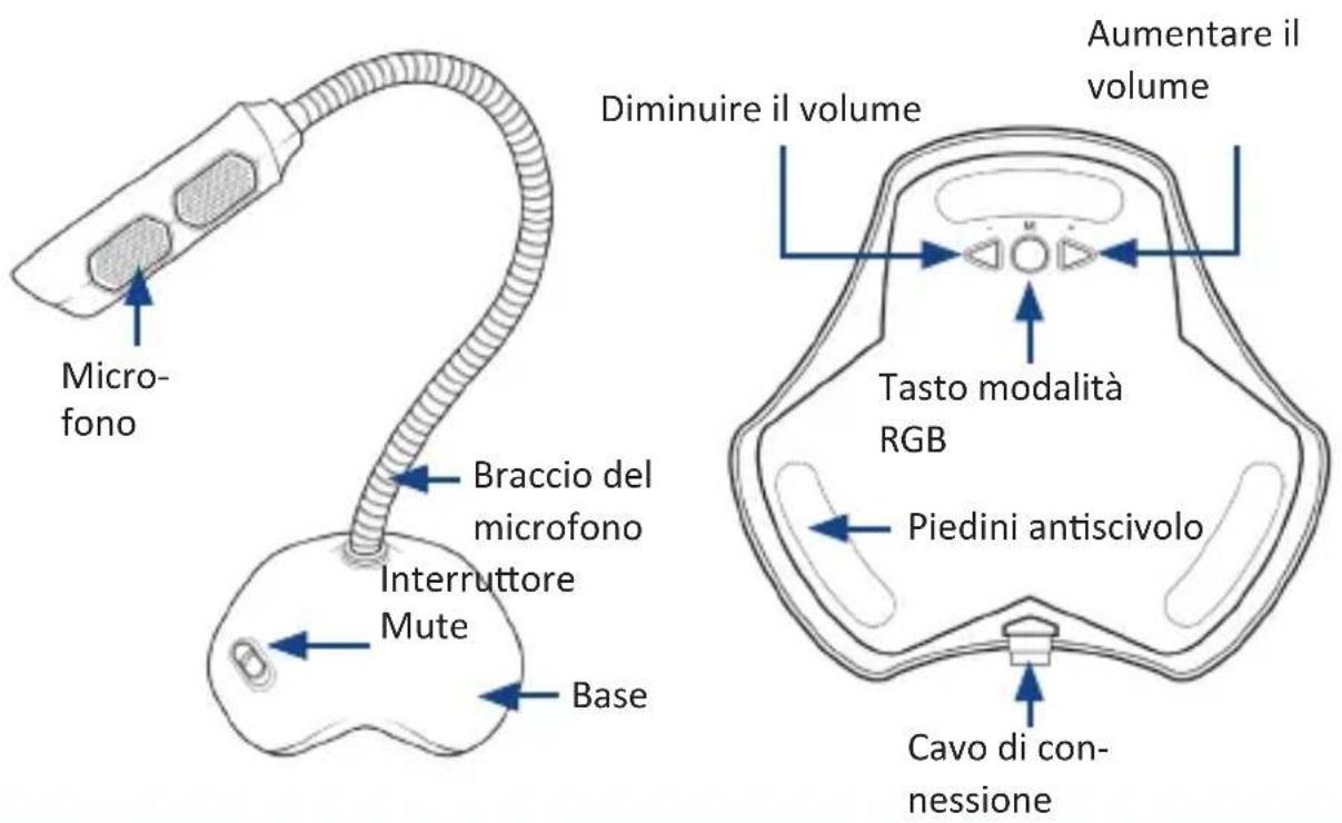CSL 304261 - Dettagli del prodotto - 1