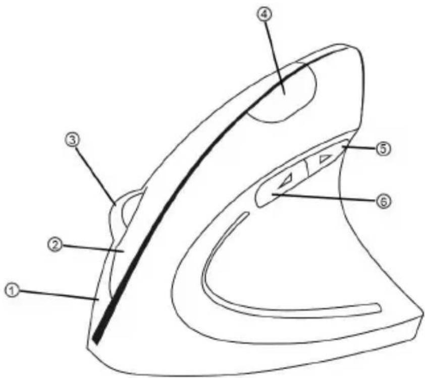 CSL 300570 - Product details - 1