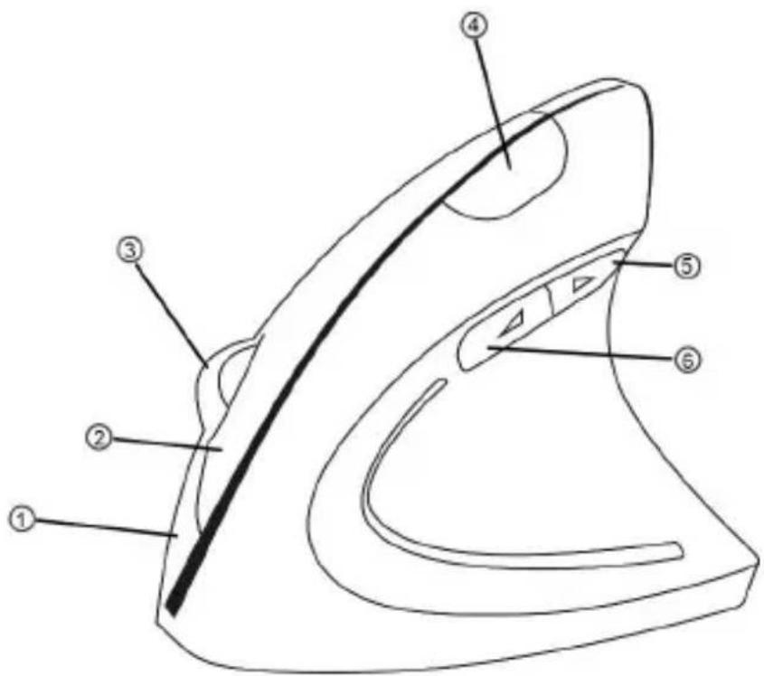 CSL 300570 - Detalles del producto - 1