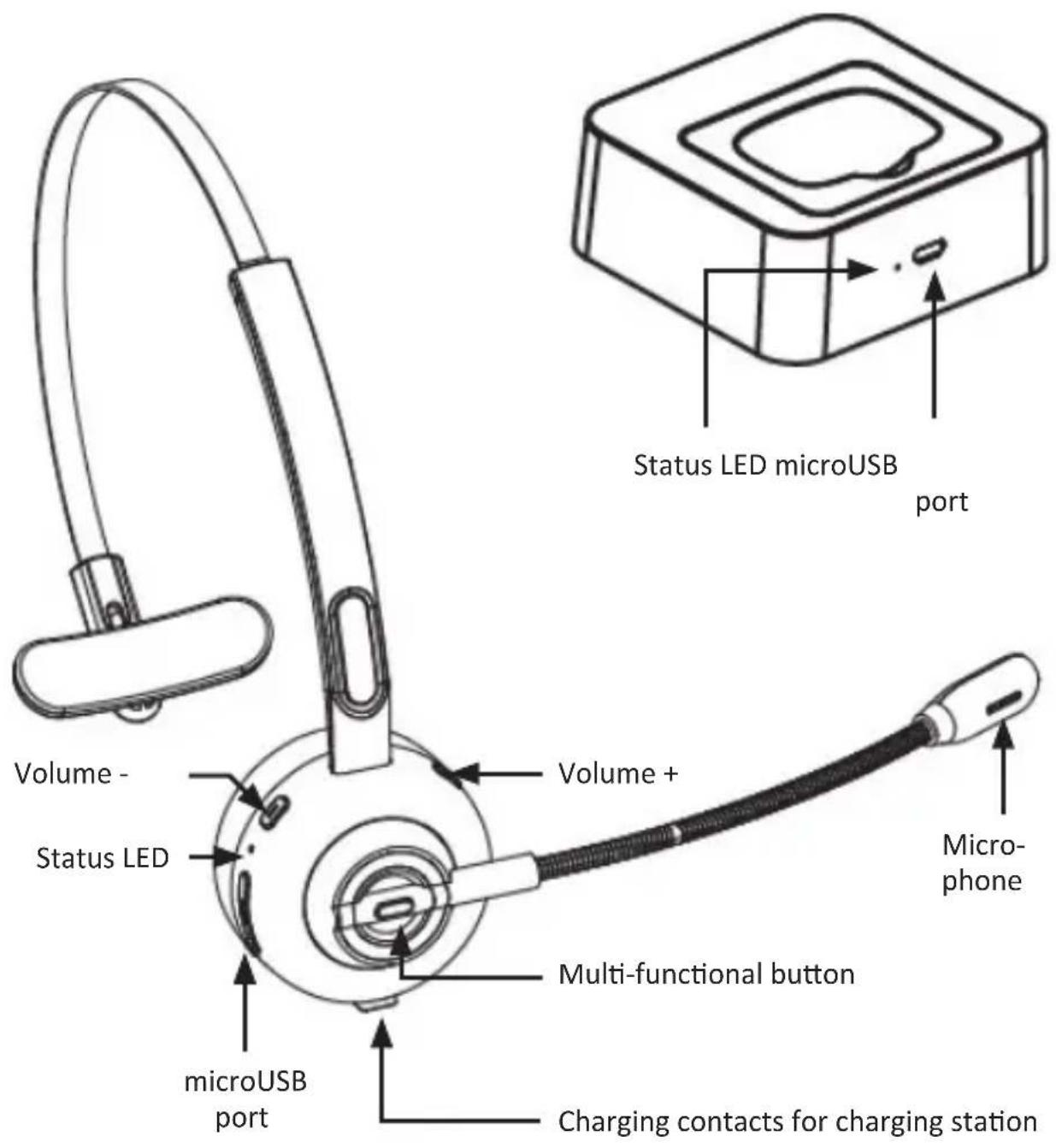 CSL 303455 - Product details - 1