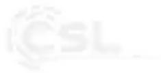 CSL 306900 - Notes - 1