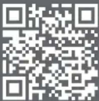 Bearware 304969 - Disposal instructions - 4
