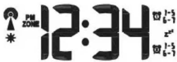Bearware 304273 - Display - 1