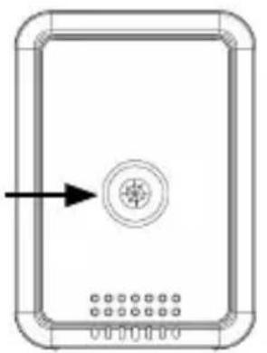 Bearware 303715 - Attenzione! - 2