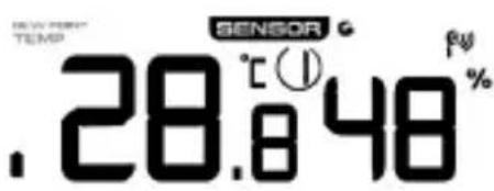 Bearware 303715 - Indicador de la temperatura exterior: - 1