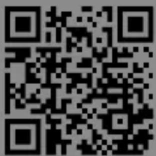 Bearware 303715 - Deutsch - 1