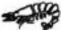 Arendo 303152 - Programmes de fonctionnement - 3
