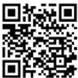 Bearware 302360 - 1
