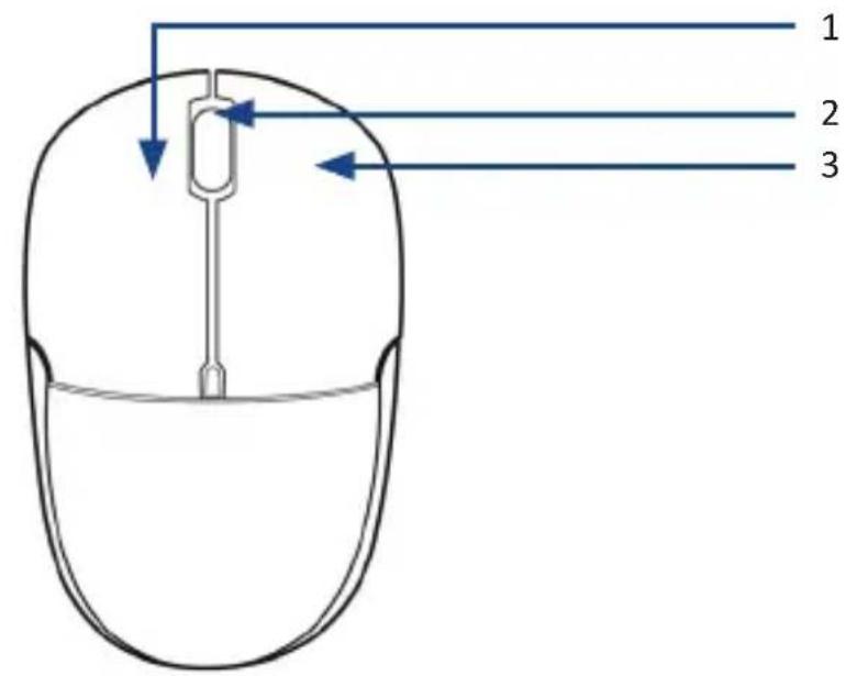 CSL 301418 - Product details - 2