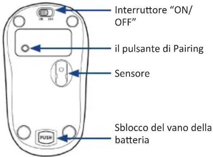 CSL 301418 - Dettagli del prodotto - 1