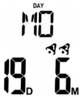 Bearware 302688 - Datum und Tag: - 1