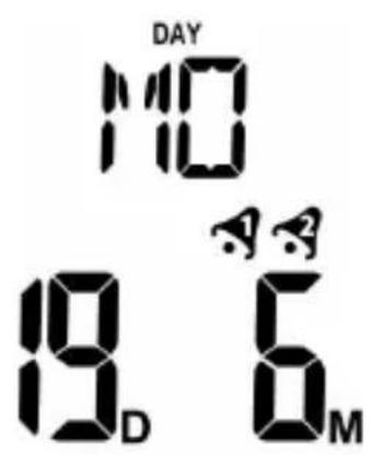 Bearware 302688 - Display - 2