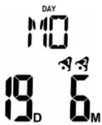 Bearware 302688 - Pantalla - 2
