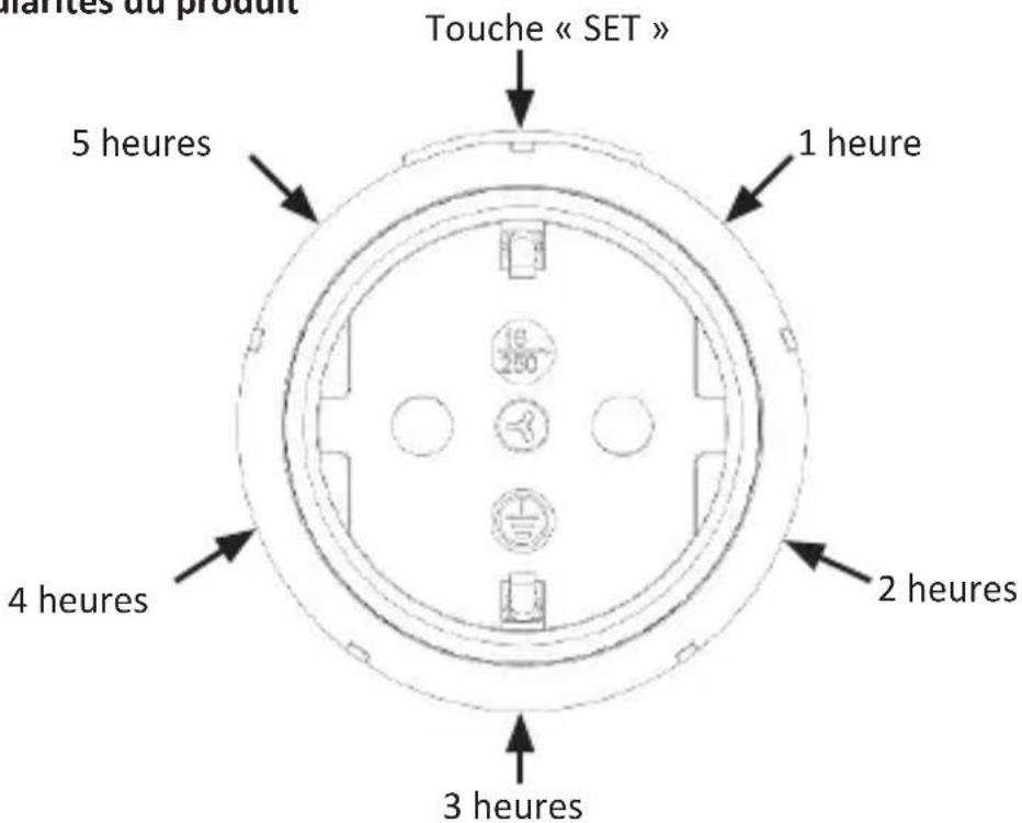 Bearware 303526 - Caractéristiques techniques - 1