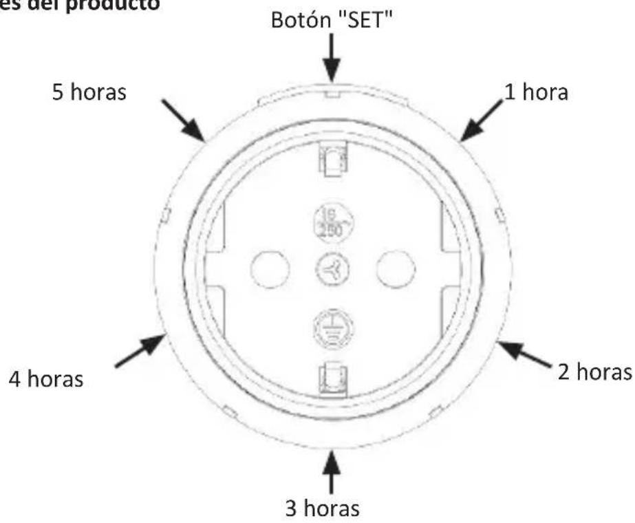 Bearware 303526 - Datos técnicos - 1