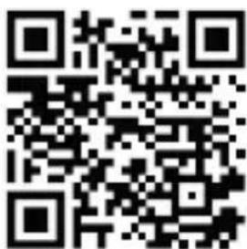 Bearware 302653 - 1