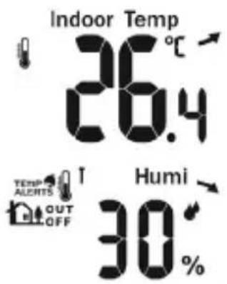 Bearware 303530 - Indoor temperature display and humidity - 1