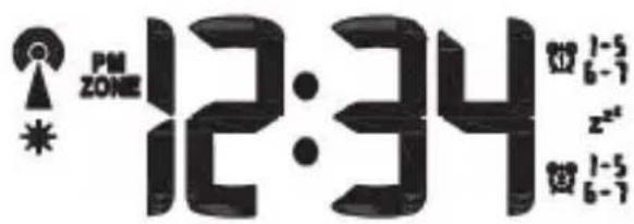 Bearware 303586 - Display - 1