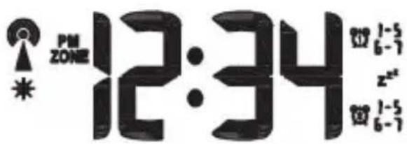 Bearware 303586 - Anzeige - 1
