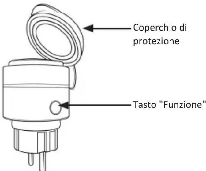 Bearware 302965 - Dettagli del prodotto - 1