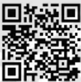 Bearware 303999 - 1