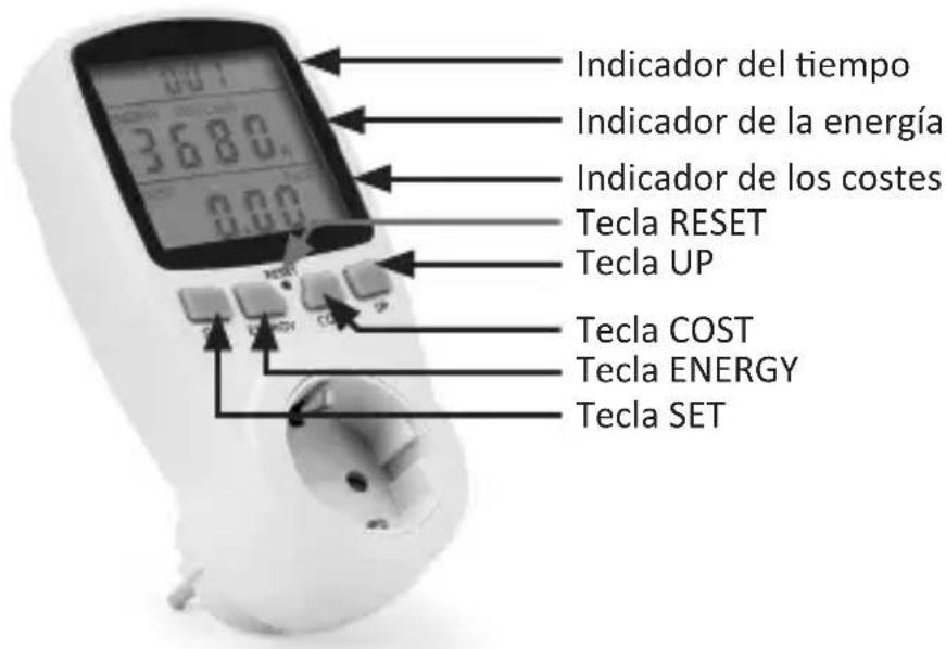 Bearware 305744 - Indicadores y 控roles - 1