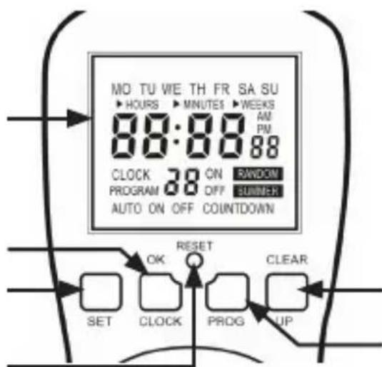 Bearware 302361 - Détails du produit - 1