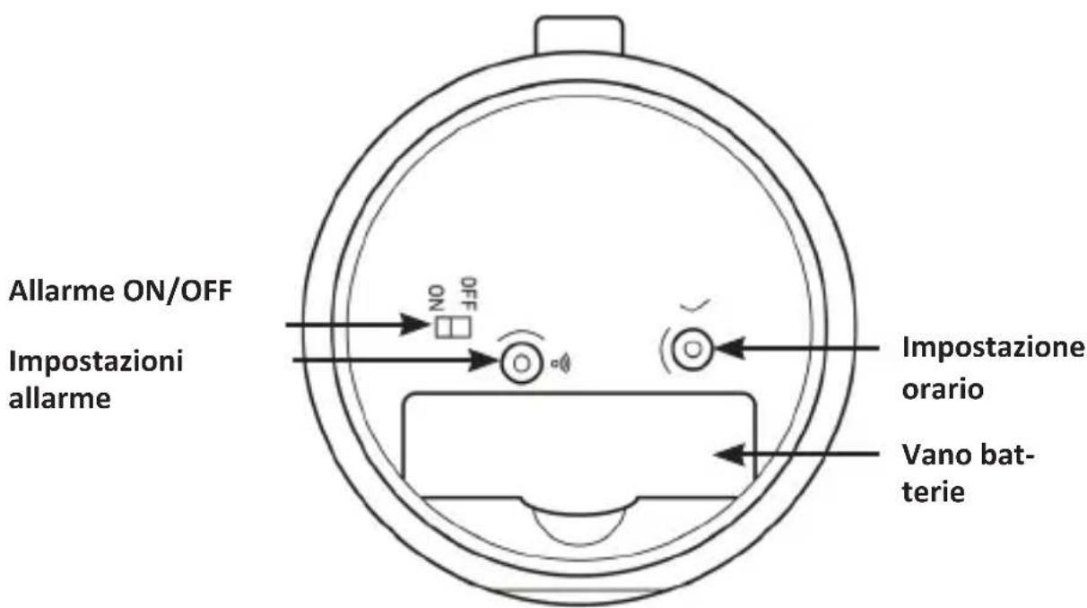 Bearware 304570 - Dettagli del prodotto - 2