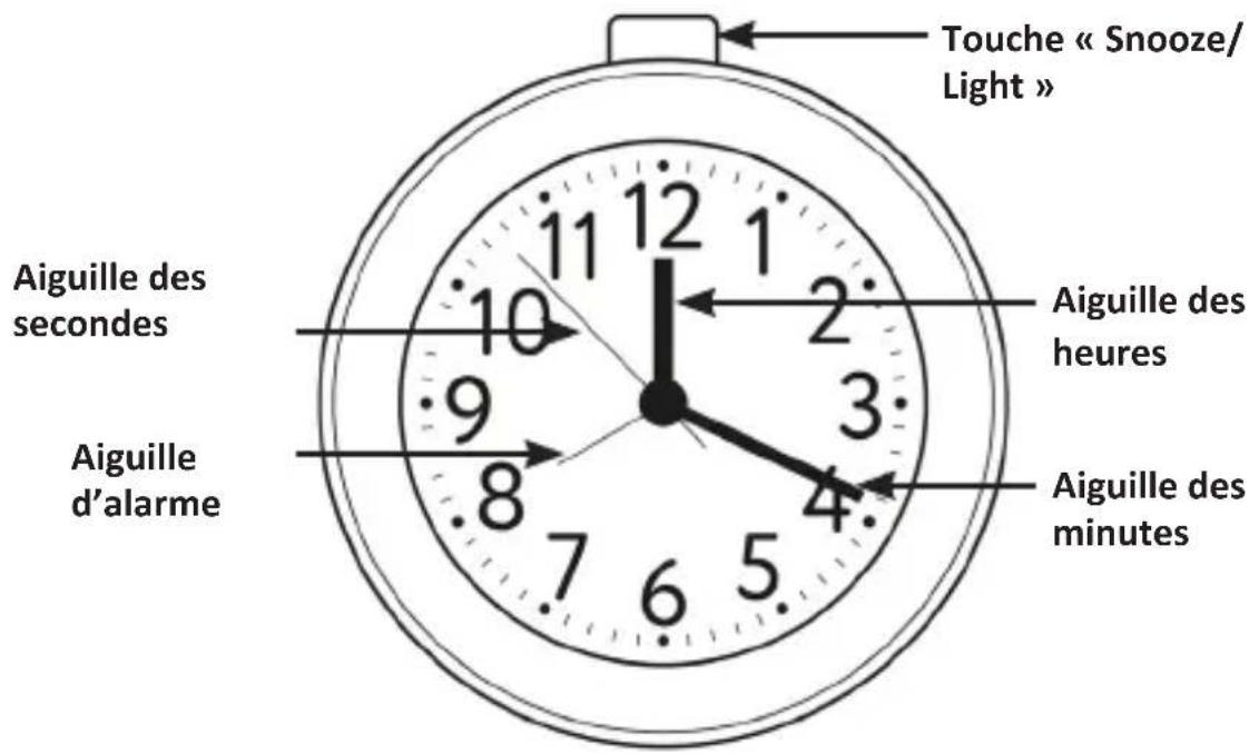 Bearware 304570 - Attention! - 1