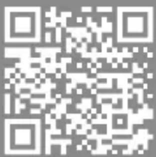 Bearware 305764 - Limite de surcharge - 1