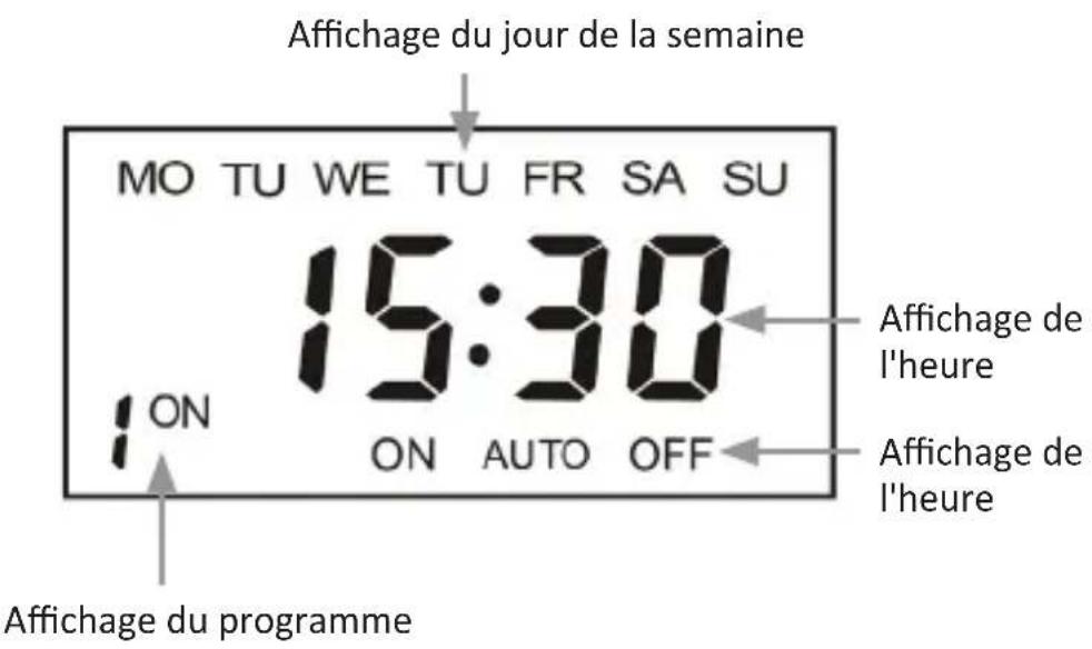 Bearware 304589 - Consignes d'utilisation importantes - 3