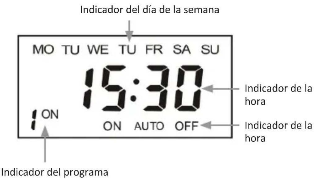Bearware 304589 - Detalles del producto - 2