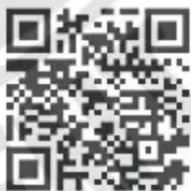 Bearware 305699 - 1