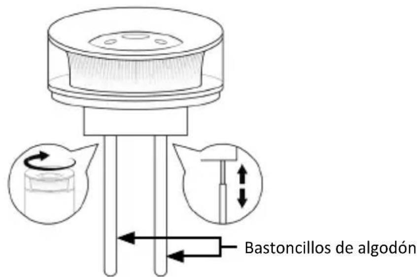 Brandson 306935 - Puesta en servicio - 1