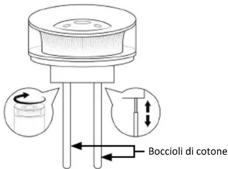Brandson 306935 - Messa in servizio - 1