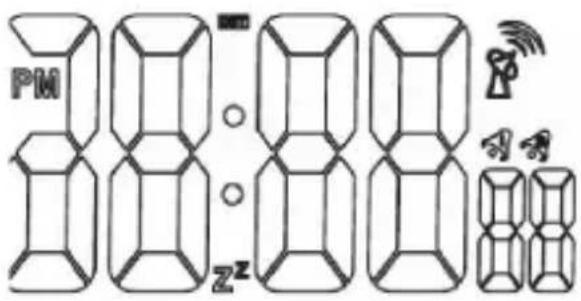 Bearware 302547 - Display - 1