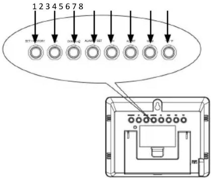 Bearware 302547 - Detalles del producto - 1