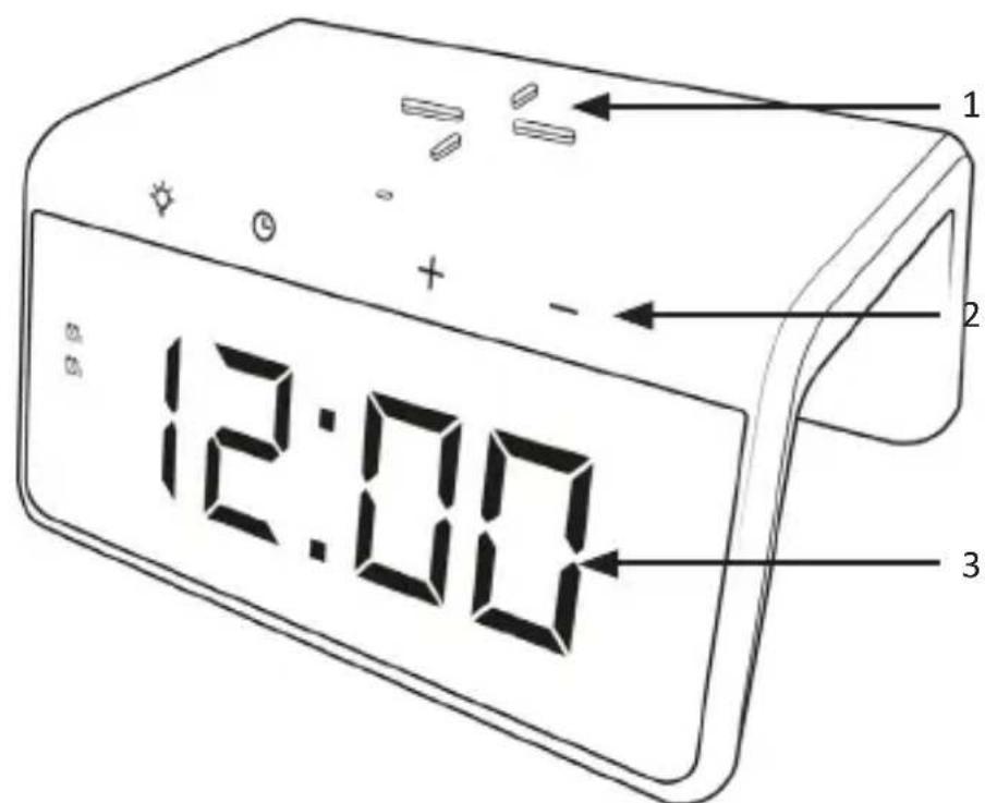 Bearware 304697 - Produktdetails - 1