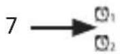 Bearware 304697 - Detalles del producto - 4