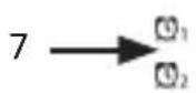 Bearware 304697 - Deutsch - 2