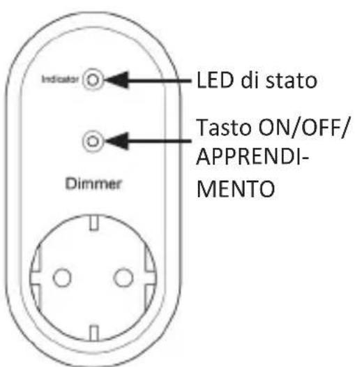 Bearware 305748 - Dettagli del prodotto - 1