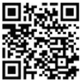 Bearware 305459 - BEARWARE - 1