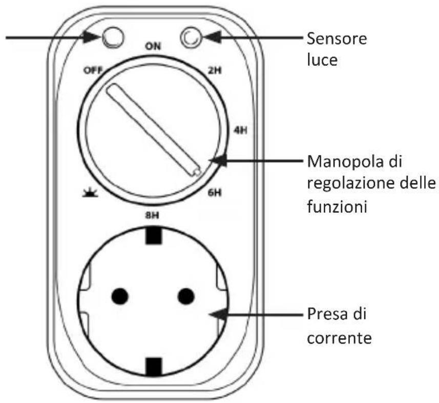 Bearware 304274 - Dettagli del prodotto - 1