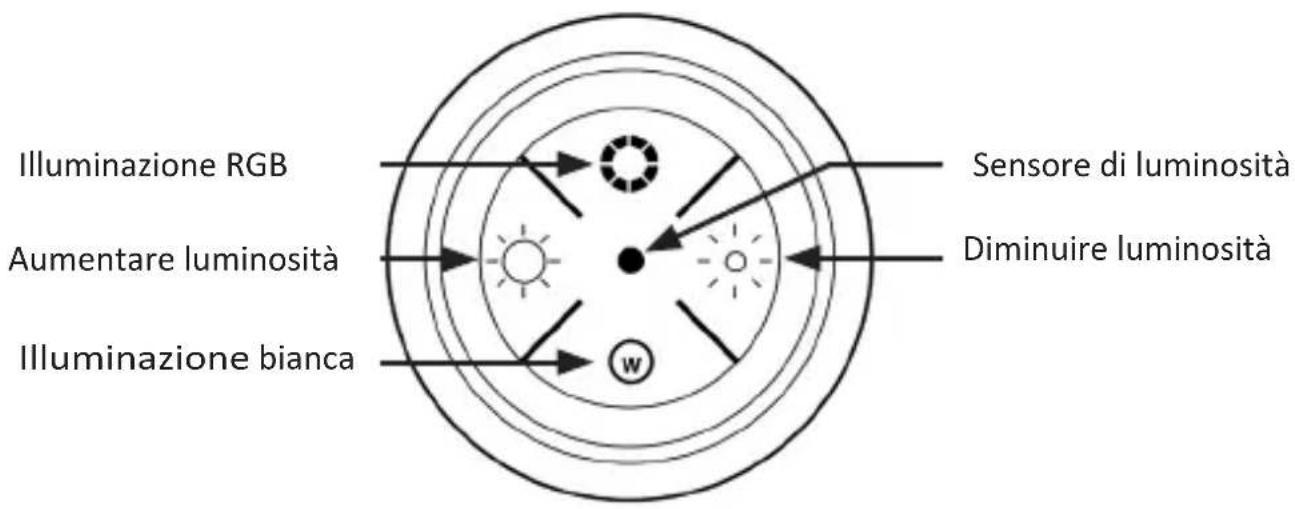 Bearware 303243 - Dettagli del prodotto - 1