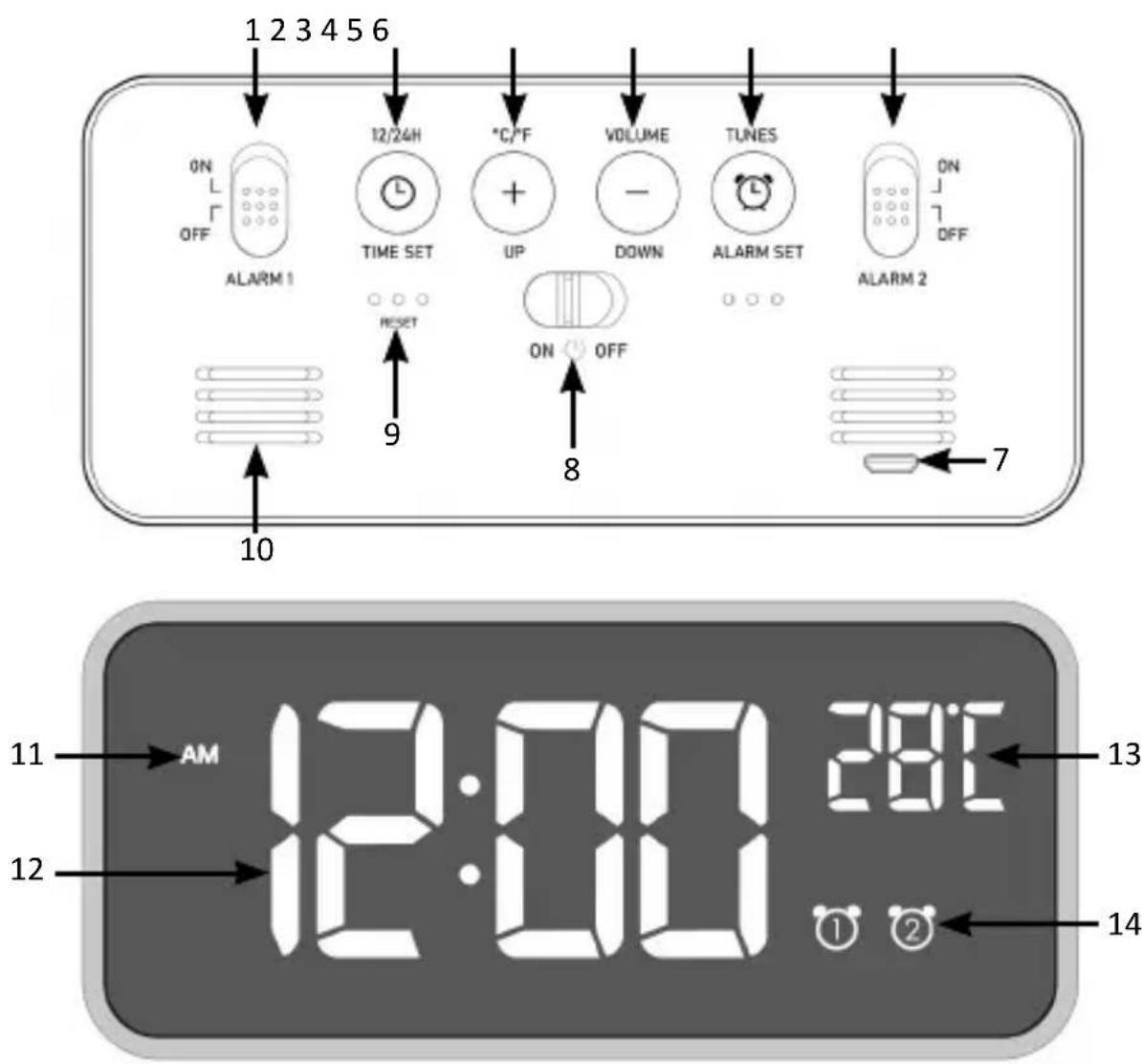 Bearware 305547 - Attenzione! - 1