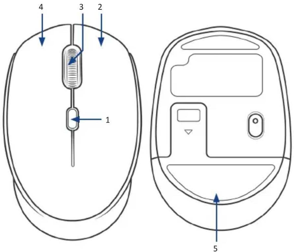 CSL 303155 - Product details - 1